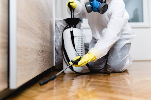 Best Termite Control Services  in Hurlburt Field, FL