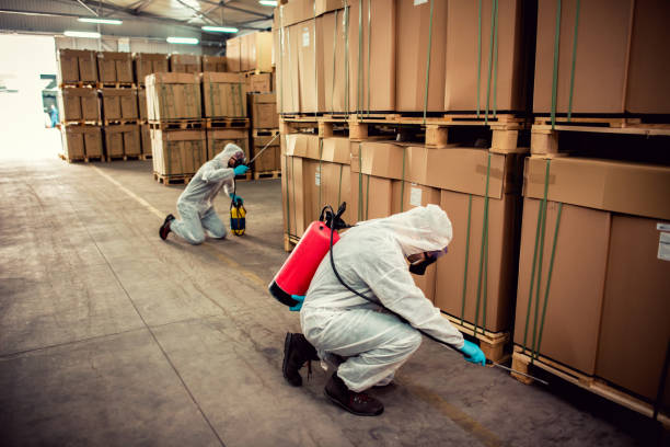 Best Best Pest Control Companies  in Hurlburt Field, FL