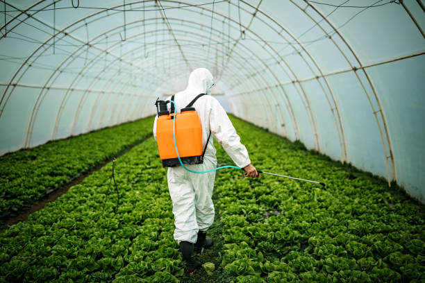  Hurlburt Field, FL Pest Control Pros