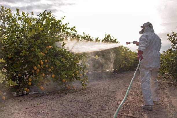 Best Residential Pest Control  in Hurlburt Field, FL