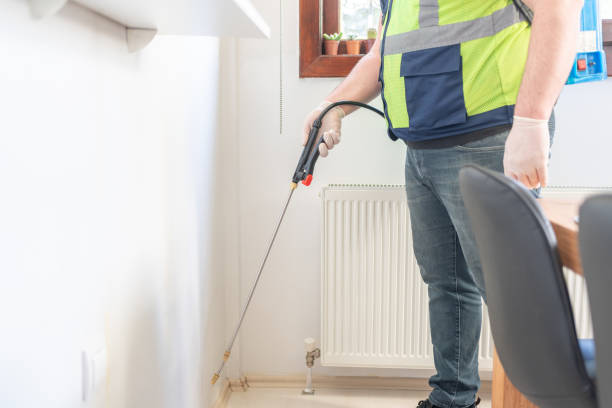 Reliable Hurlburt Field, FL Pest Control Solutions