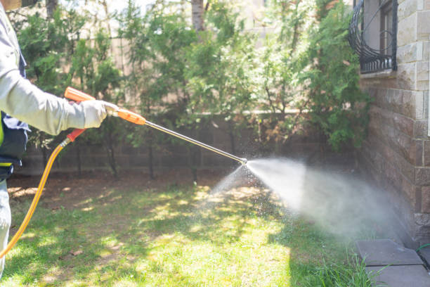 Spider Control Near Me in Hurlburt Field, FL
