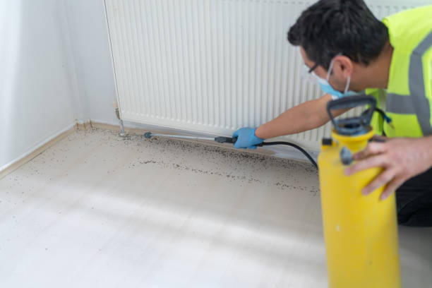 Best Insect Control  in Hurlburt Field, FL